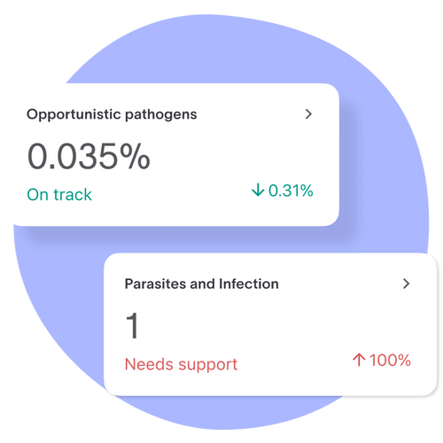 Child Gut Health Test Tiny Health